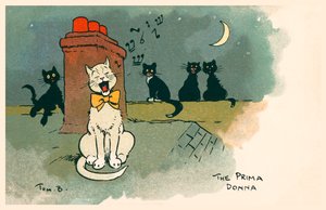 The Prima Donna