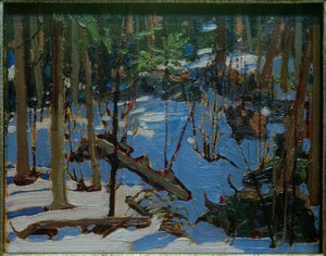 Winter in the Woods