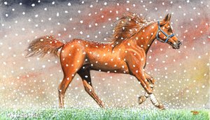 Christmas Snow