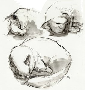 Sleeping Cat Studies by Tore Bahnson
