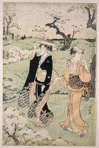 Cherry blossom viewing at Mount Asuka
