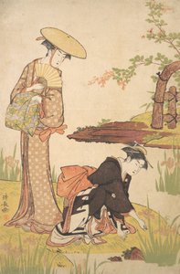 The Iris Garden