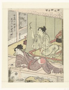 Two Women on a Summer Evening (A Collection of Humorous Poems)