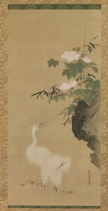 Egrets and Cotton Roses, mid- to late 17th century by Tosa Mitsuoki