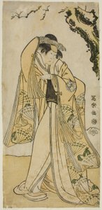 The Actor Sakakiyama Sangoro as Princess Odae, the Daughter of the Senior Regent Michinaga