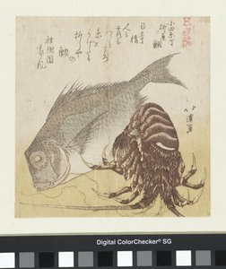 The Sea Bass of Yanagiya in Odawaracho
