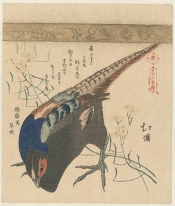Pheasant by Totoya Hokkei