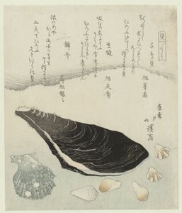 Plover Shells, Raw Mussel, and Brocade Shell (A Series of Shells) by Totoya Hokkei