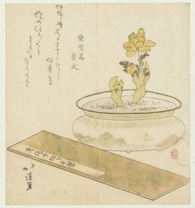 Potted Plant and Almanac by Totoya Hokkei