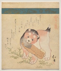 Puppy with Slice of Dried Salmon