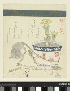 Rat and bowl with Adonis by Totoya Hokkei