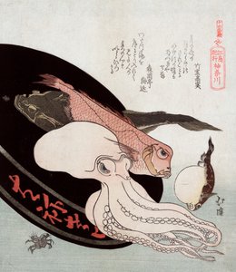 Octopus and Ocean Fish
