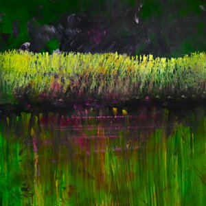 Marsh- Nocturne by Tracy Lambros