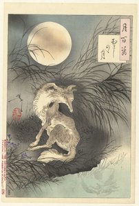 Moon of Musashi by Tsukioka Yoshitoshi