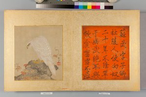 Album of Hawks and Calligraphy
