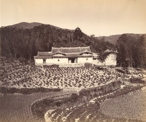 Teafield & Josshouse at Peling, ca. 1869