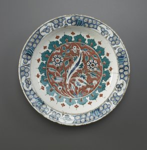 Dish