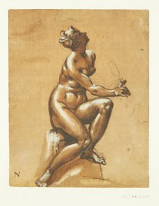 Nude Female Figure