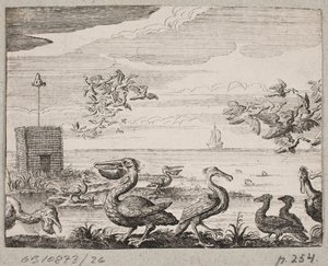 Pelicans by Ubekendt