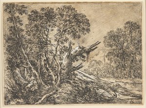 Forest Landscape with a Broken Tree