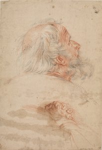 Studies of the Head of an Old Man and Folded Hands by Ubekendt