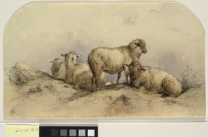 Sheep in a landscape by Ubekendt KKSgb7508 KKSgb7512