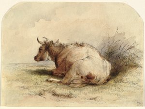 Seated Cow