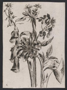 Flowers by Ubekendt hollandsk 1600 tallet