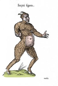 Representation of a satyr. Plate of a Natural History manuscript by Ulisse Aldrovandi (1522-1605) on monsters