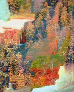 Abstract Autumn Forest Dream