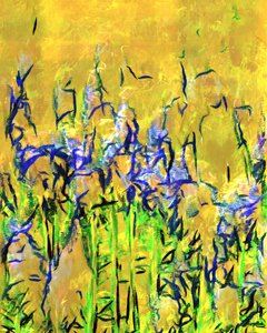 Abstract Yellow Meadow