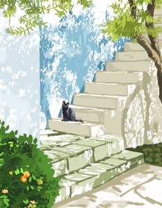 Black Cat Sunny Steps