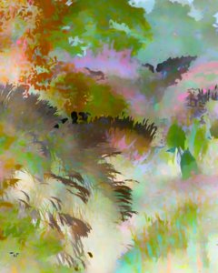 Colorful Forest Landscape