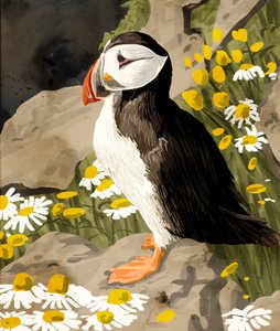 Peaceful Puffin