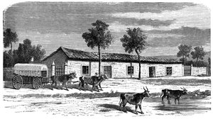 A Boer farm, South Africa by Unbekannt