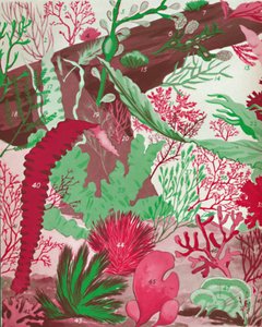 A Collection of Over Fifty Species of Red, Green and Brown Seaweeds by Unbekannt