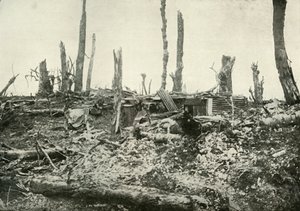 A Dug-Out in What Was Once A Sylvan Wood, 1919 by Unbekannt