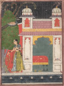 A Heroine Plucking a Flower: Page from a Dispersed Nayikabheda by Unbekannt