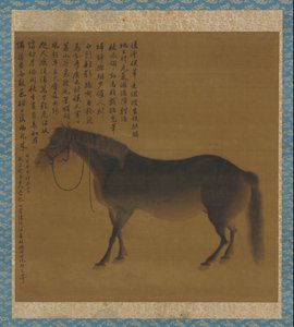 A Horse