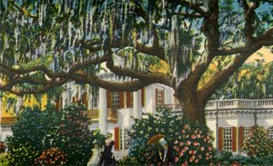 A Mansion in the Carolinas by Unbekannt