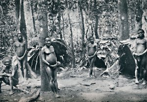 A Pygmy Village, North-East Congo Basin by Unbekannt