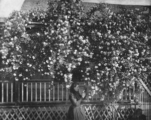 A Rose-Decked Home, Southern California, USA by Unbekannt