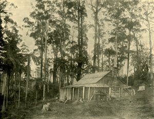 A Rustic Dwelling, 1901 by Unbekannt