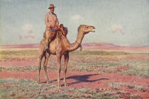 A Scene in Central Australia, 1923 by Unbekannt