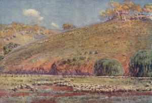 A Sheep-Run by Unbekannt