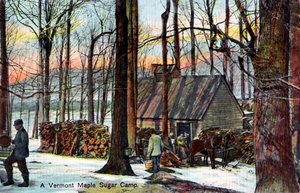 A Vermont Maple Sugar Camp, USA by Unbekannt
