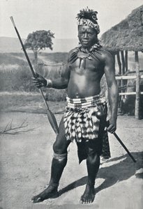 A Zulu Chief, 1902 by Unbekannt