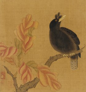 A Blackbird on a Branch, Autumn Leaves by Unbekannt