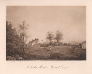 A cricket match on Bansted Downs, Surrey by Unbekannt