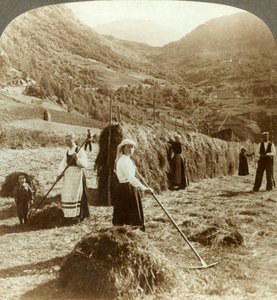 A Farmer